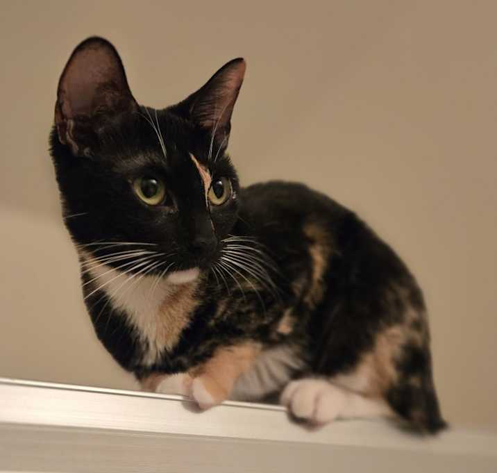 Photo of Hazel
