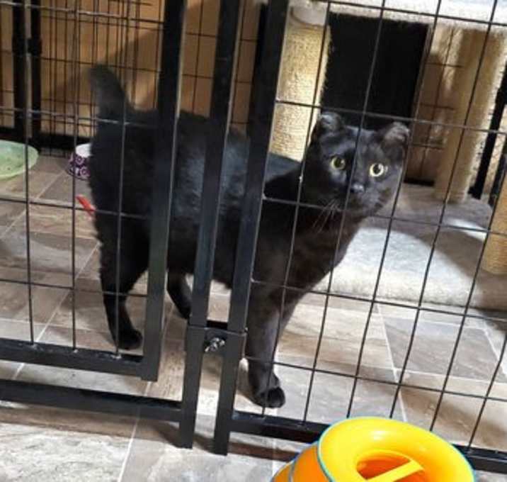 Photo of Ranger