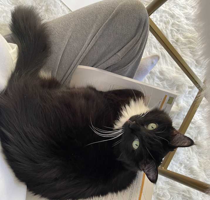 Photo of Princess