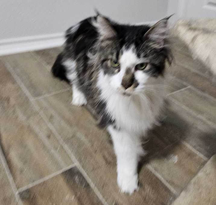 Photo of Mama