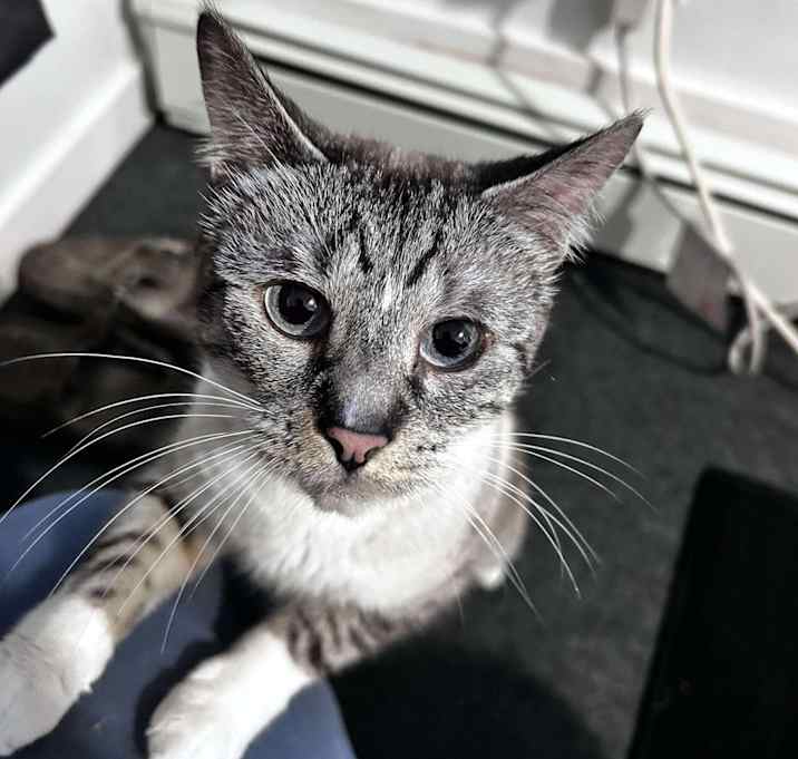Photo of Ellie