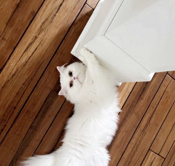 Photo of Kyky