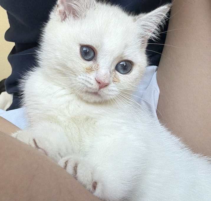 Photo of mia
