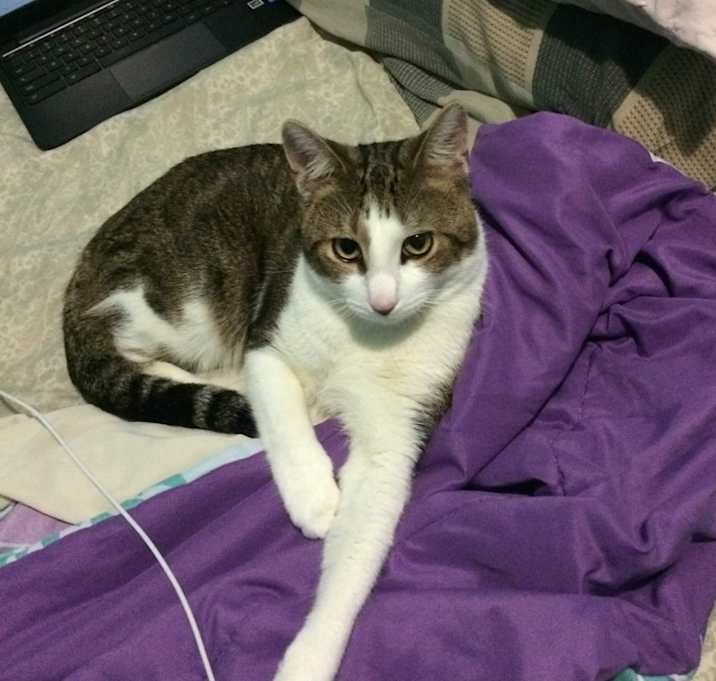 Photo of Noah
