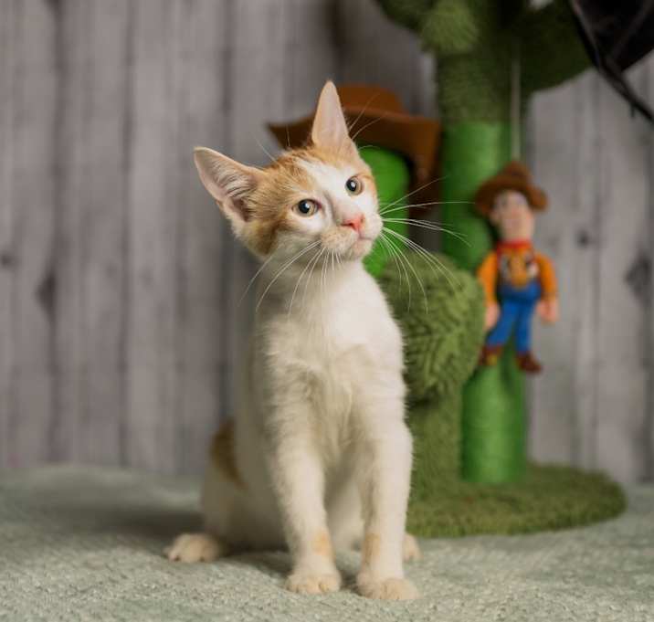 Photo of Melvin