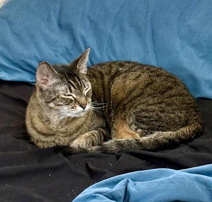Photo of Kayce