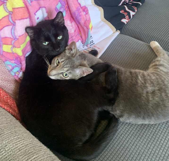 Photo of Greg and Luna