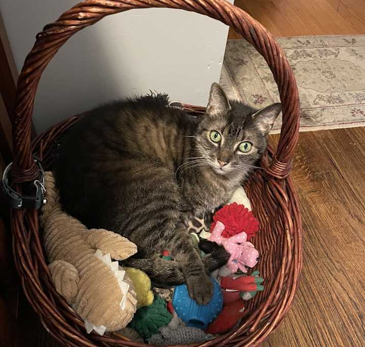 Photo of Jeff