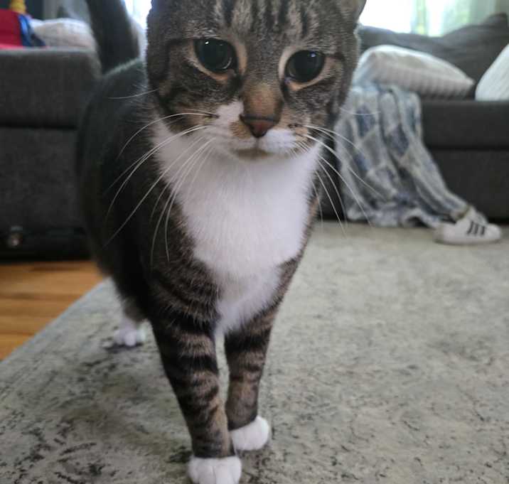 Photo of Ziggy