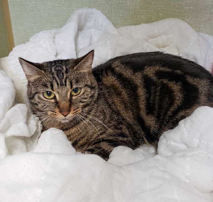 Photo of Lulu