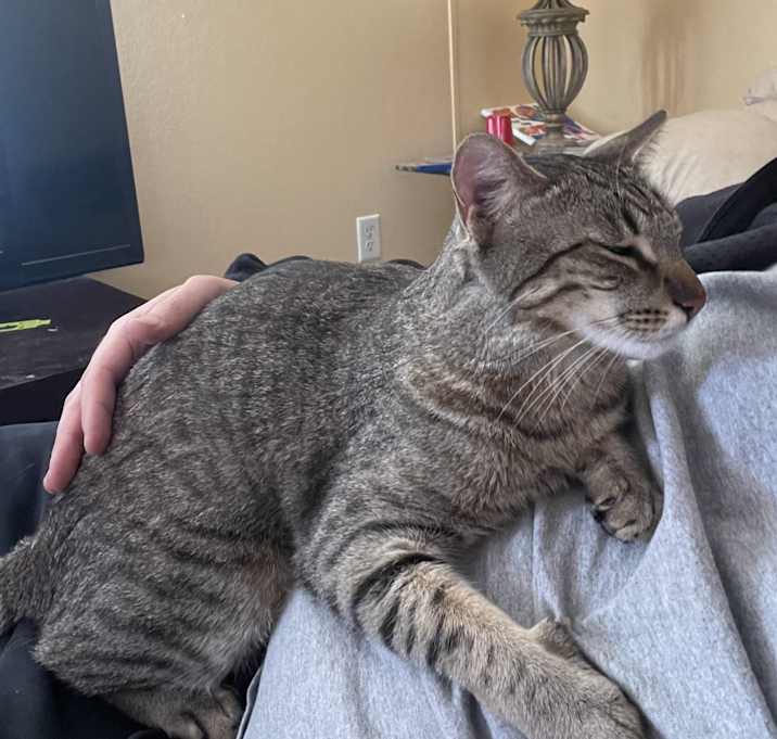 Photo of Baxter