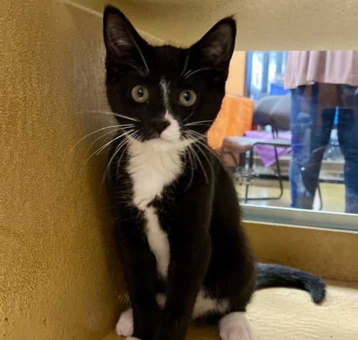 Photo of Jinx