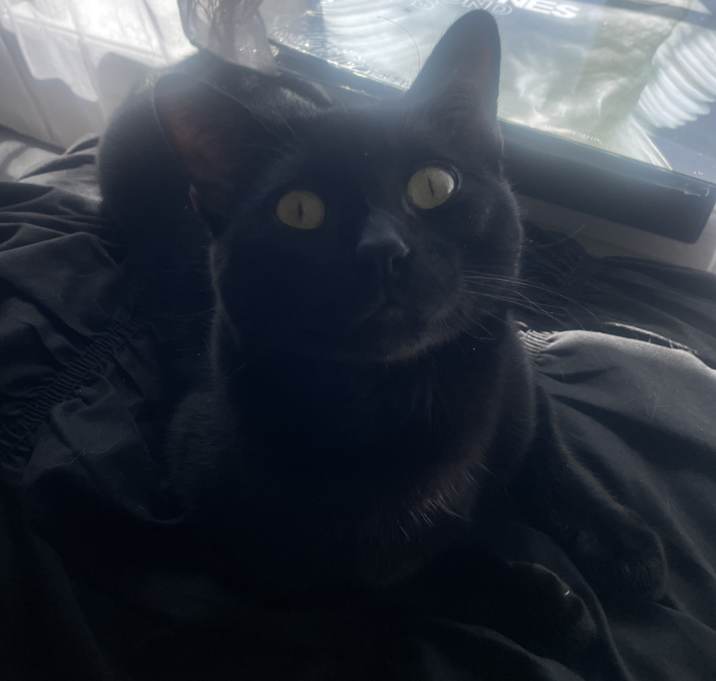 Photo of Baby