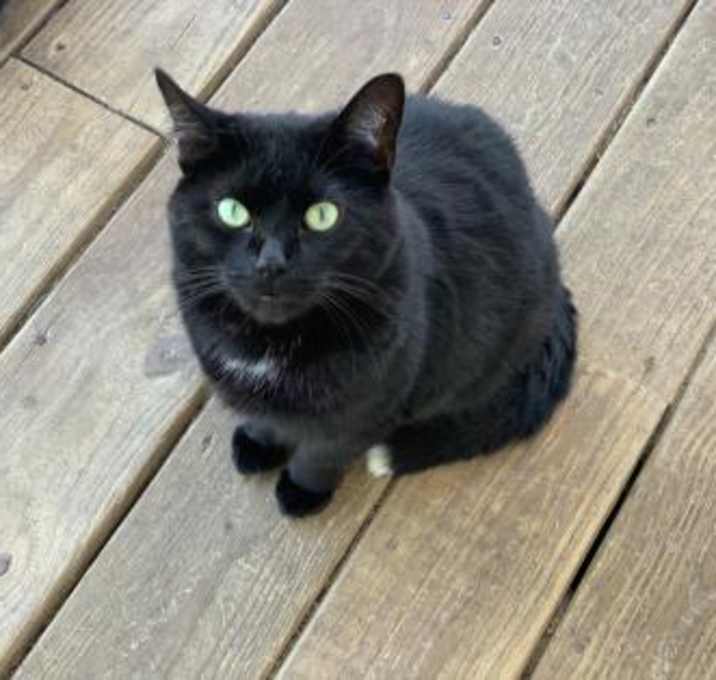 Photo of Casper