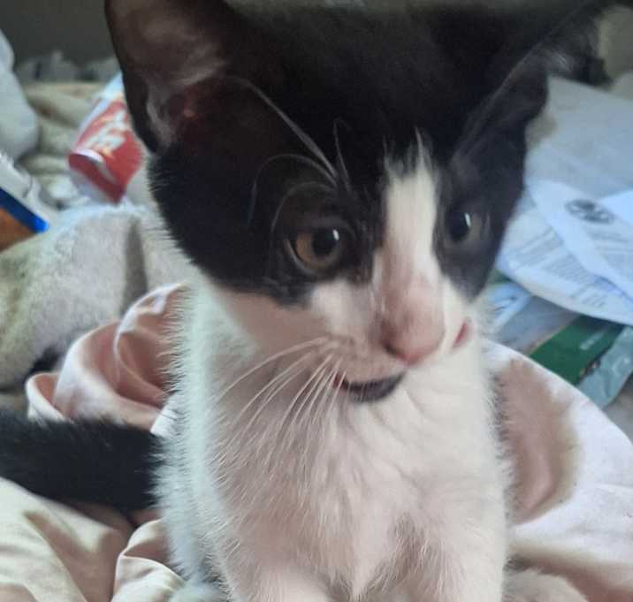Photo of Dot