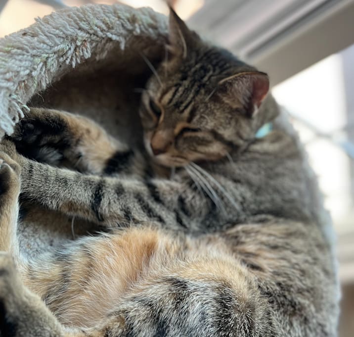 Photo of Maggie