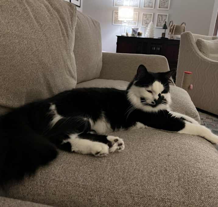 Photo of Sammie