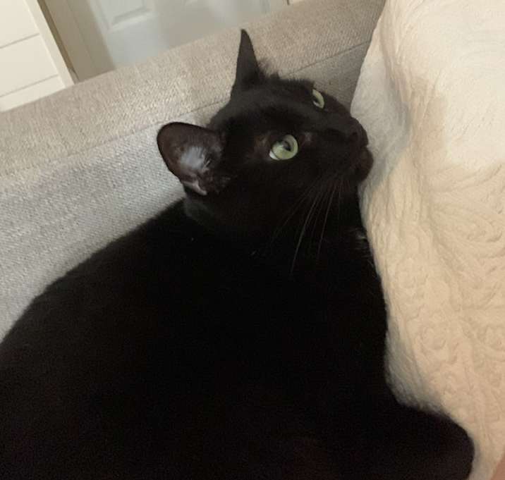 Photo of Midna