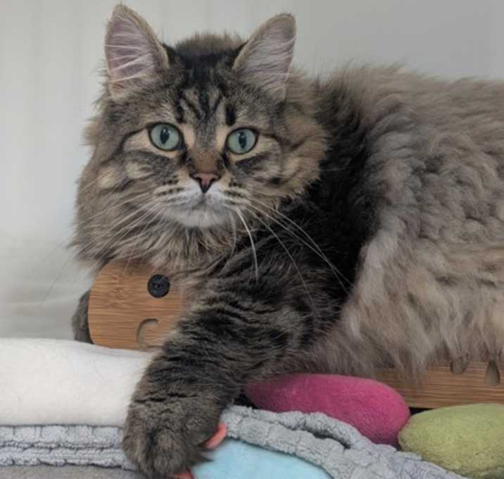 Photo of Angel