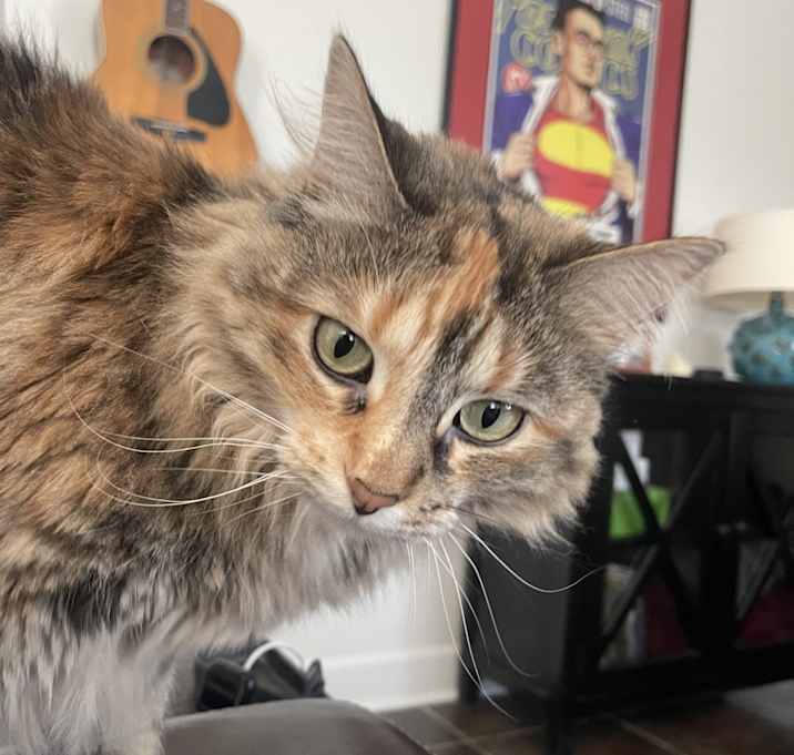 Photo of Penelope