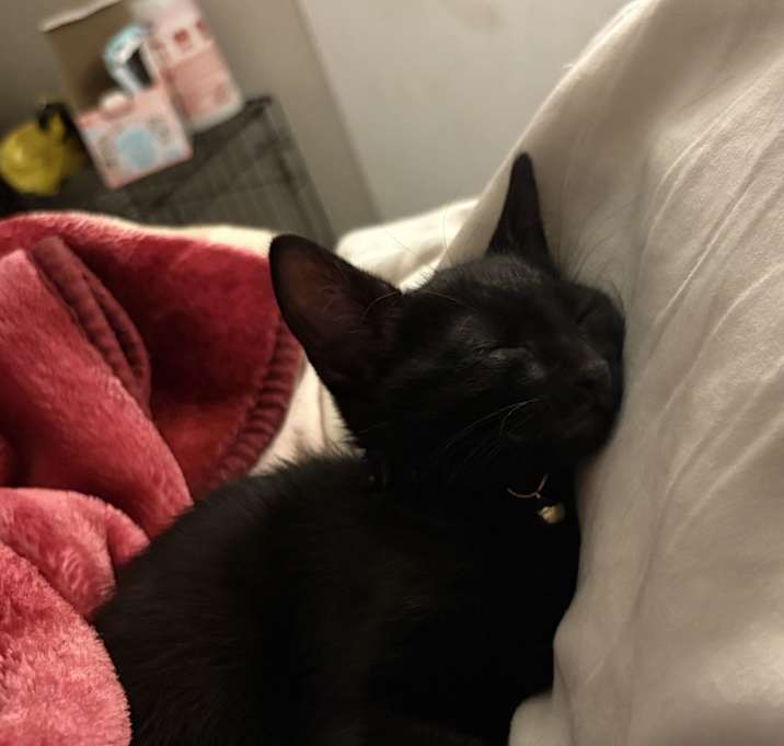 Photo of Babby