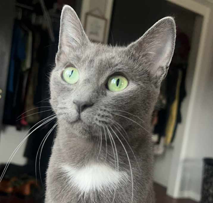 Photo of Mama