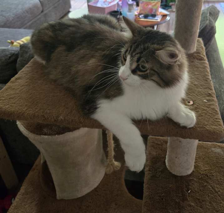 Photo of Murphy