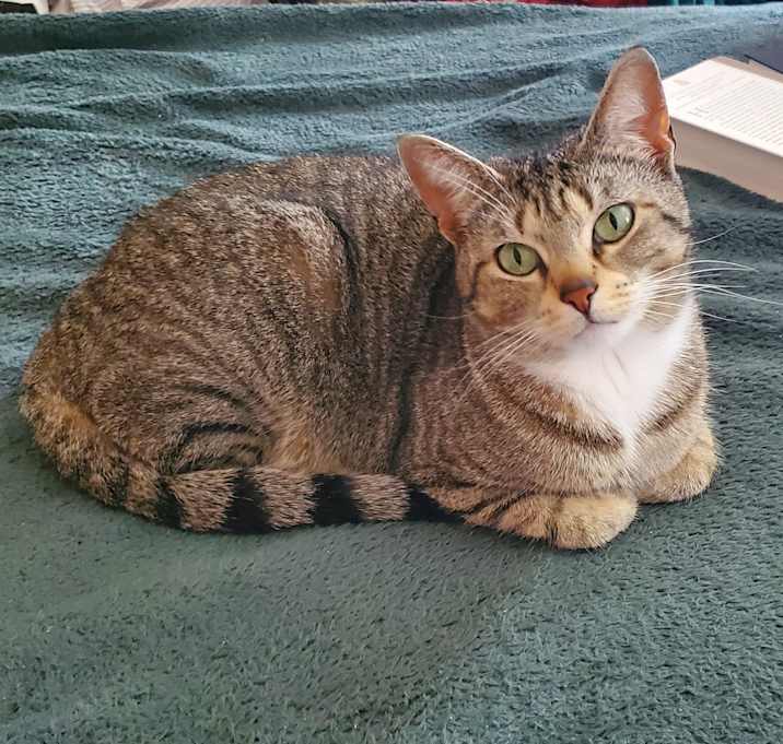 Photo of Lucy
