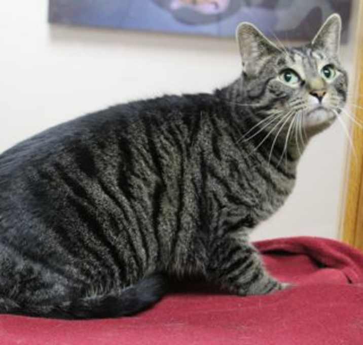Photo of Templeton