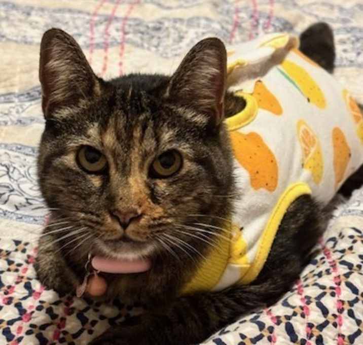 Photo of Luci