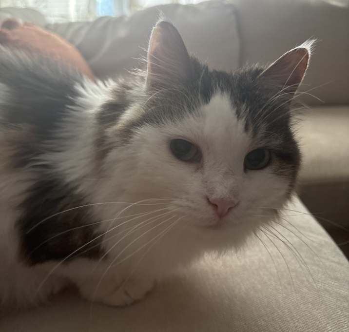Photo of Macey