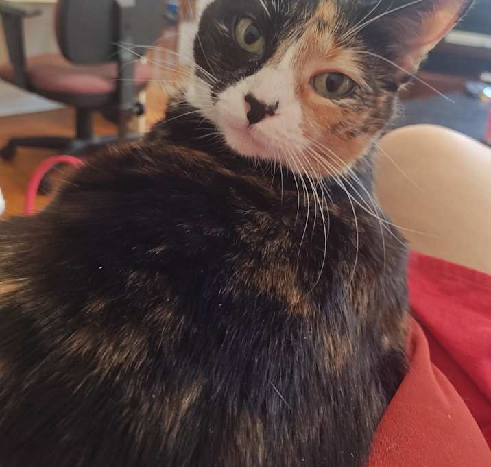 Photo of Esme