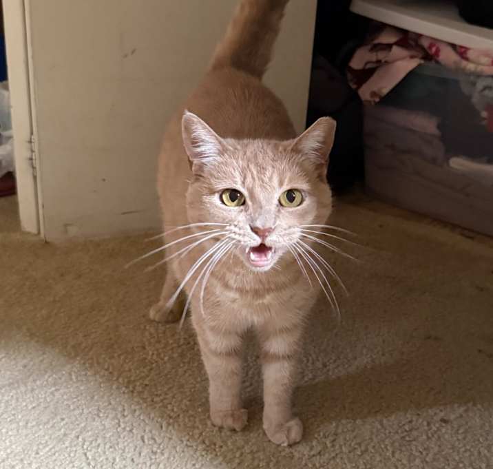 Photo of Baby