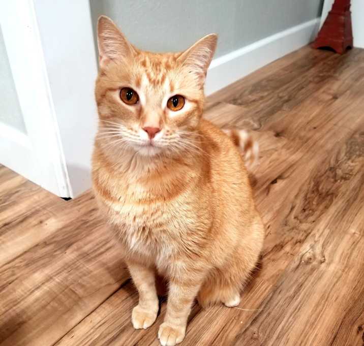 Photo of Mia