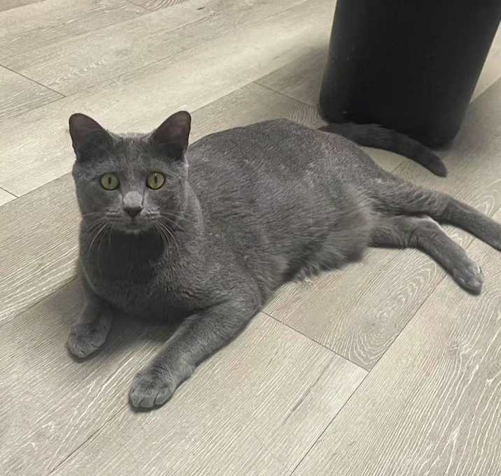Photo of Pistachio