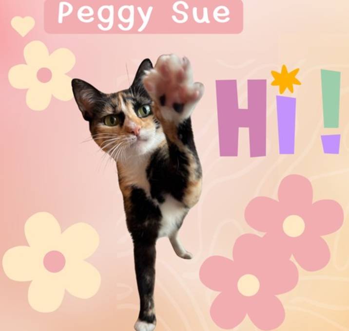 Photo of Peggy Sue
