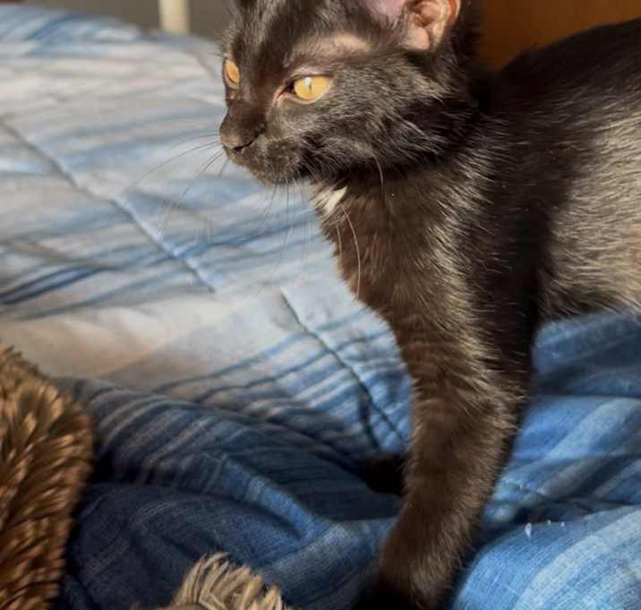 Photo of McKenzie