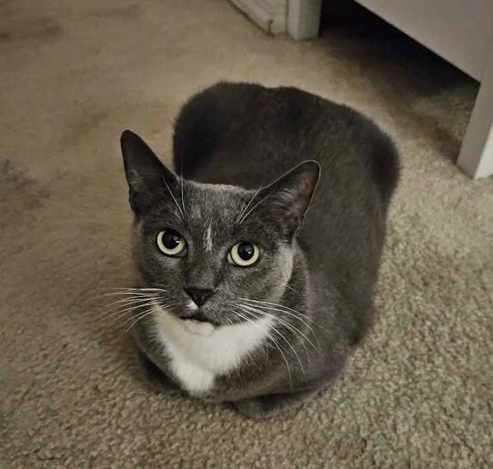 Photo of Minnie