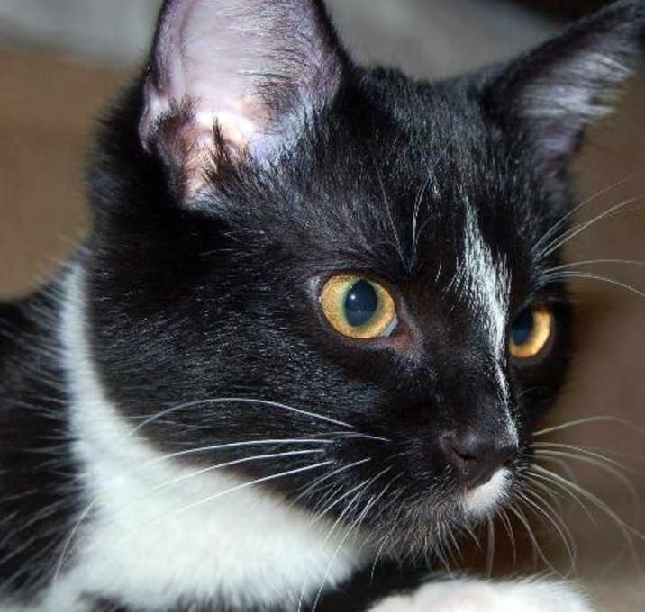 Photo of Twix