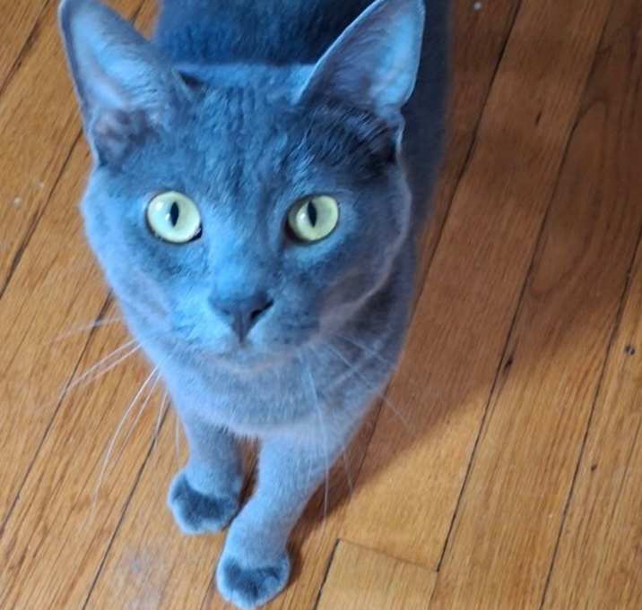 Photo of Viktor