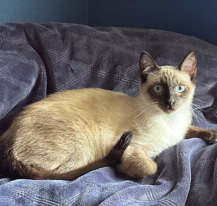 Photo of Gordon