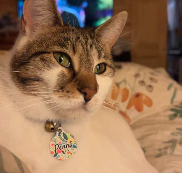 Photo of Penny