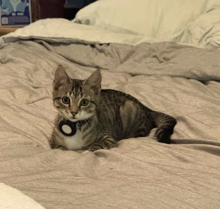 Photo of Socks