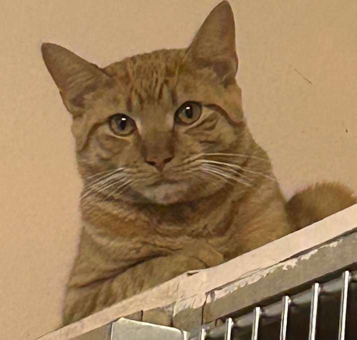 Photo of Lloyd 