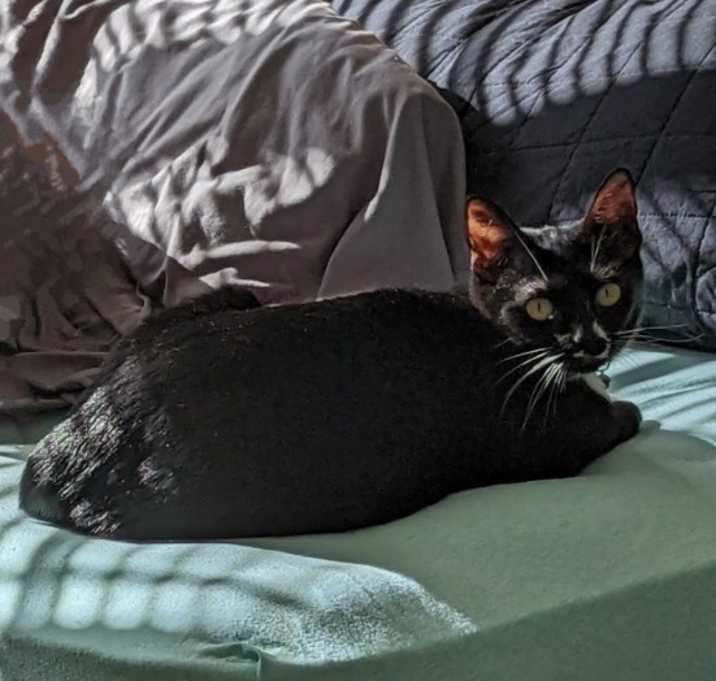 Photo of Baby