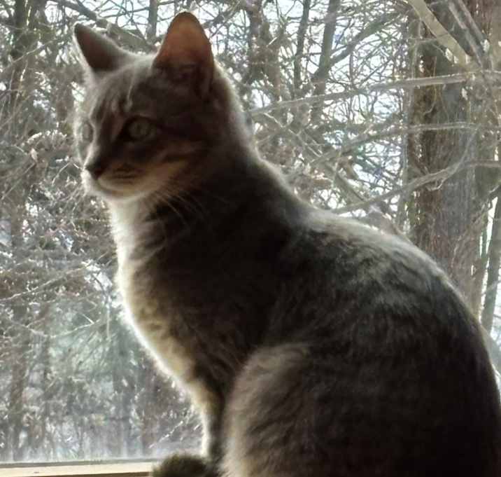 Photo of Thundey
