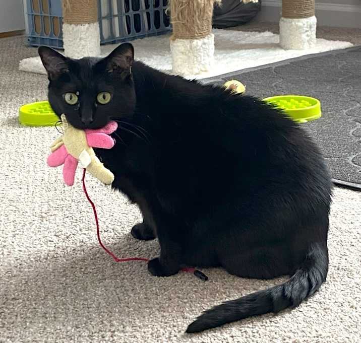 Photo of Cass