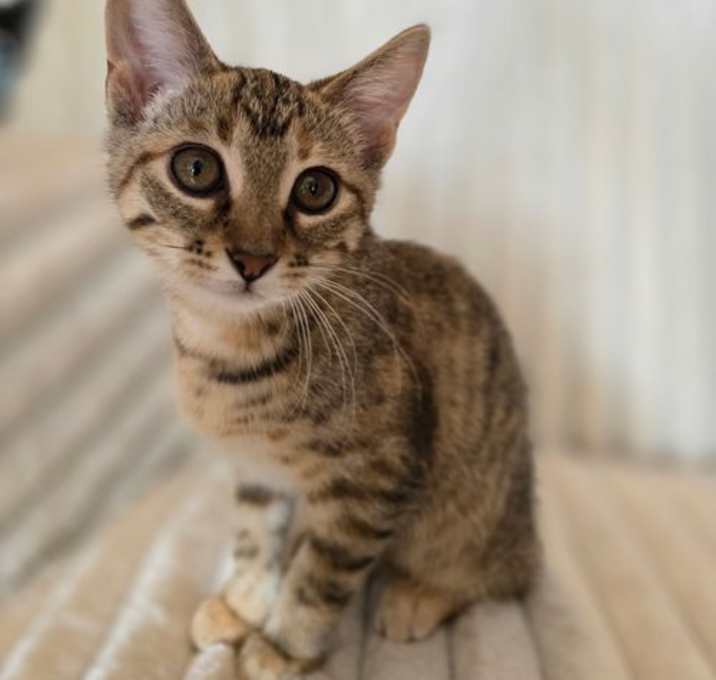 Photo of Lila