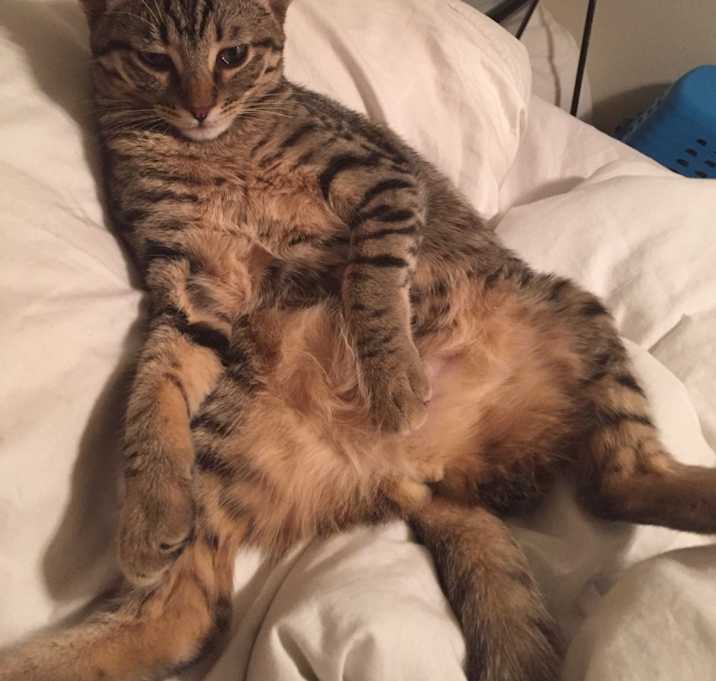 Photo of Jinx
