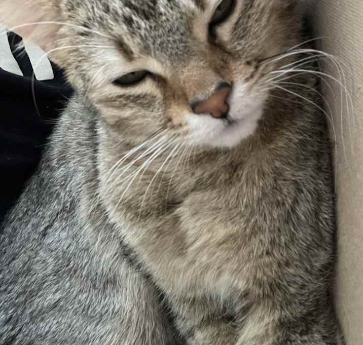 Photo of Theo